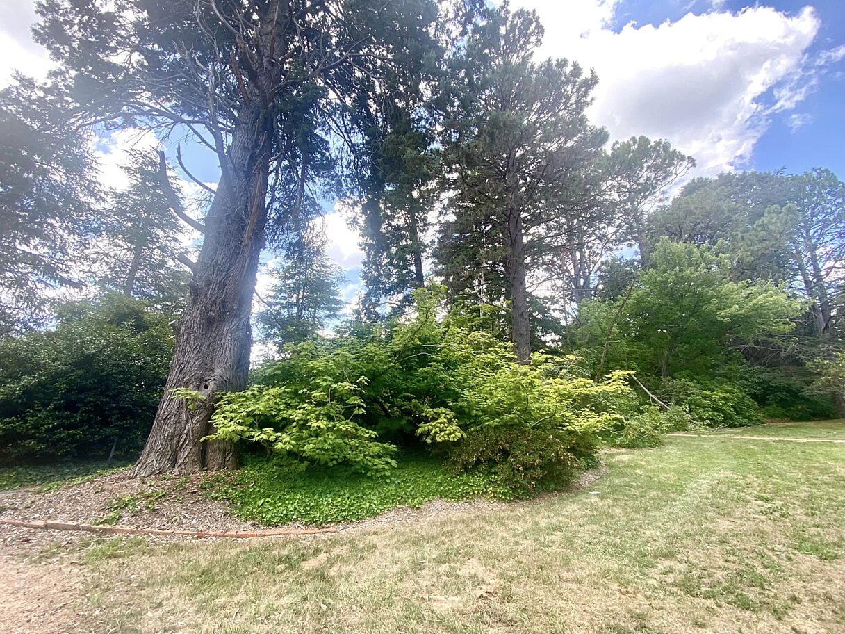 Yarralumla Nursery