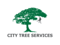 Tony Jansen, City Tree Services