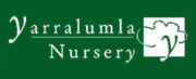 Yarralumla nursery logo