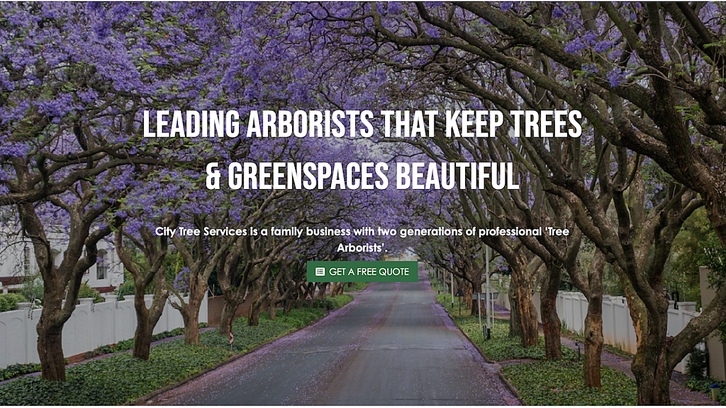 Leading Brisbane Arborists
