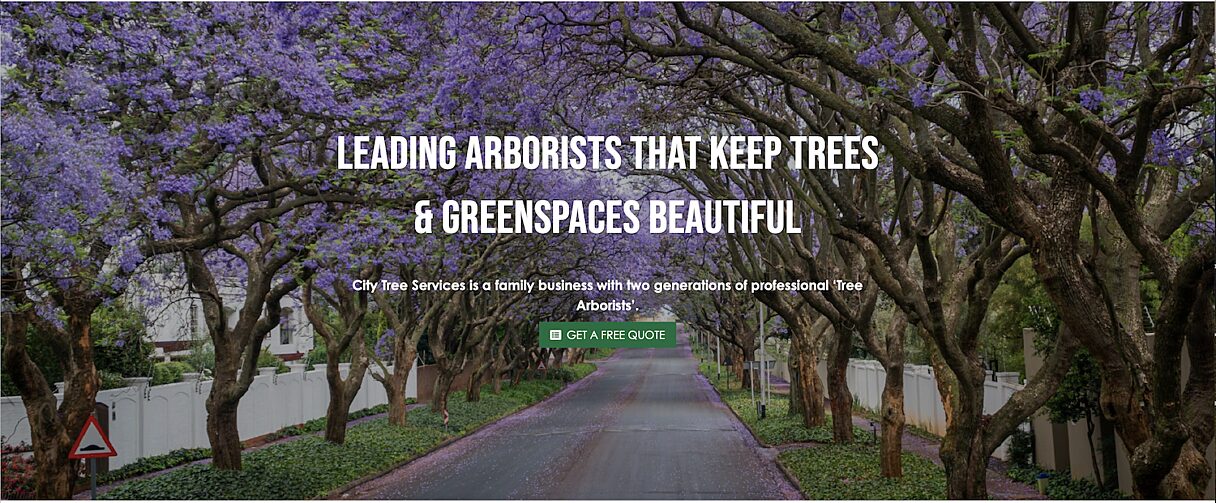 Leading Brisbane Arborists